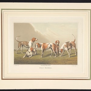 Grabado de perros de caza de ciervos, Arte deportivo de Henry Alken, c. 1820