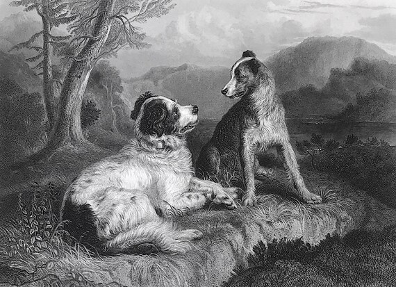 edwin landseer st bernard