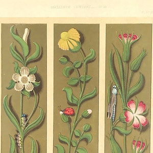 flowers and insects Decorative Art 1860 Illumination 16th Century Beautiful colour lithograph bold vibrant manuscript painting