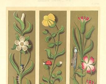 Decorative Art 1860 Illumination Floral with insects 16th Century Beautiful colour lithograph bold vibrant manuscript painting