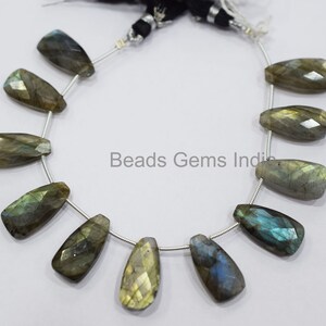 Labradorite Faceted Briolette , Labradorite Tom B Shape Briolettes, 11 Pieces in a Strand, Sold By Strand , 10x20 mm , 6.5&quot;, BL-6BGI014