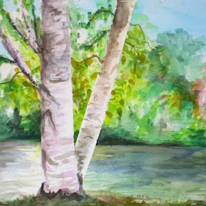 Birch Tree Watercolor Art Print