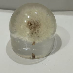 Vintage Acrylic Dandelion Paperweight
