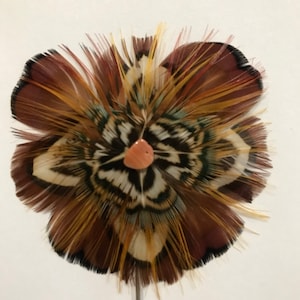 Vintage Bird Feather Hues of Brown and Black Brooch Pin