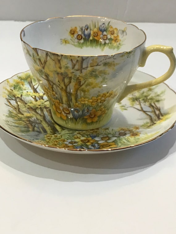 Vintage Shelley Bone China England Teacup and Saucer Set Daffodil