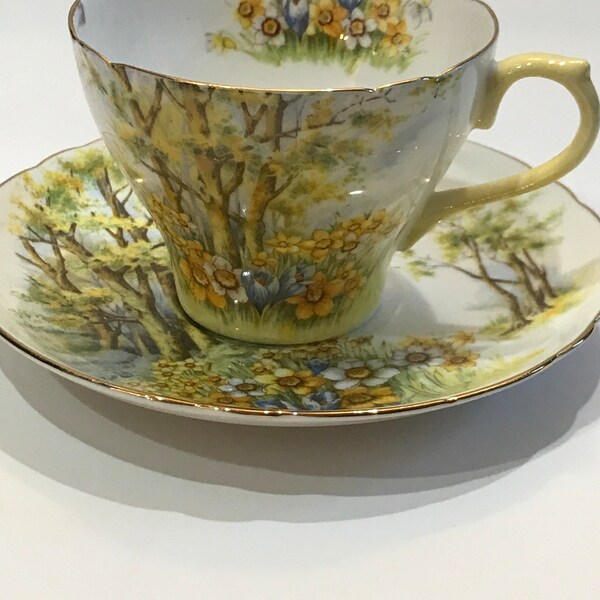 Shelley Bone China Etsy