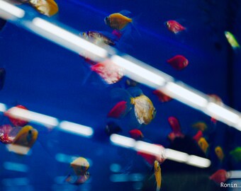 Neon Highway Under The Sea