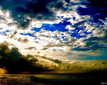 Between Storm and Stillness