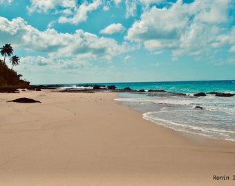 Where Silence Meets the Sea