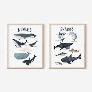Set of 2 Whale and Shark Print, Ocean Wall Printable, Nautical Nursery Art, Sea Animals Decor, Whale Chart, Shark Chart