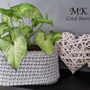 May include: A gray crocheted planter with a green leafy plant inside. The planter is on a shelf with a white wicker heart and a teddy bear wearing a green hat.