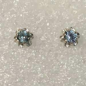 Light Blue Montana Sapphire Earrings in Buttercup Setting