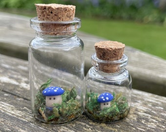 Blue Toadstool in a bottle