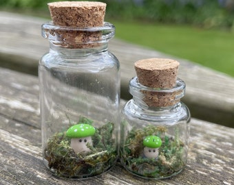 Green Toadstool in a bottle