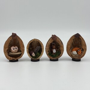 May include: Four miniature woodland animal figurines displayed inside walnut shell homes. The figurines include an owl, hedgehog, monkey, and fox. Each shell is mounted on a black base. The owl is perched on a wooden platform.