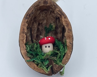 Toadstool in a Nutshell, handmade Walnut Shell decoration