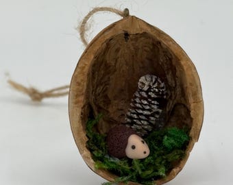 Hedgehog in a Nutshell, handmade Walnut Shell decoration