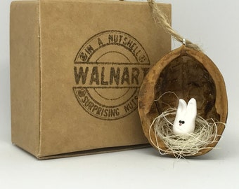 Bunny in a Nutshell, handmade Walnut Shell Easter decoration