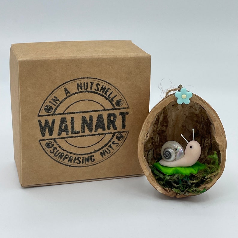 A miniature pale pink polymer clay snail body, with pearlescent real shell body and paper antennae and black eyes, sat on top of a bright green polymer clay leaf all inside a real half walnut shell. Shown with brown kraft gift box with Walnart logo.
