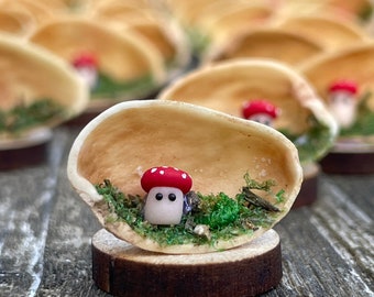 Toadstool in a Pistachio Nutshell, Handmade miniature Micro Mushroom