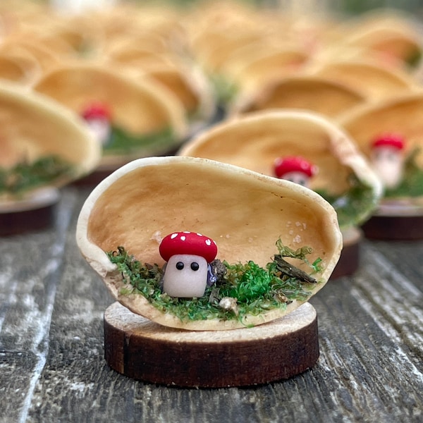 Toadstool in a Pistachio Nutshell, Handmade miniature Micro Mushroom