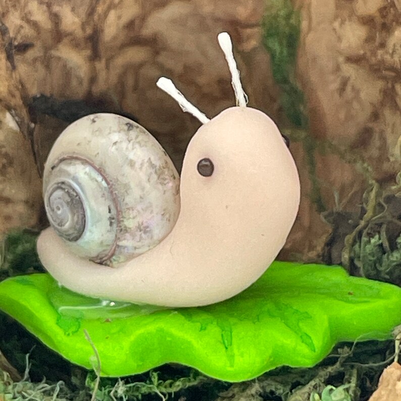 A miniature pale pink polymer clay snail body, with pearlescent real shell body and paper antennae and black eyes, sat on top of a bright green polymer clay leaf all inside a real half walnut shell. Close up image of the snail.