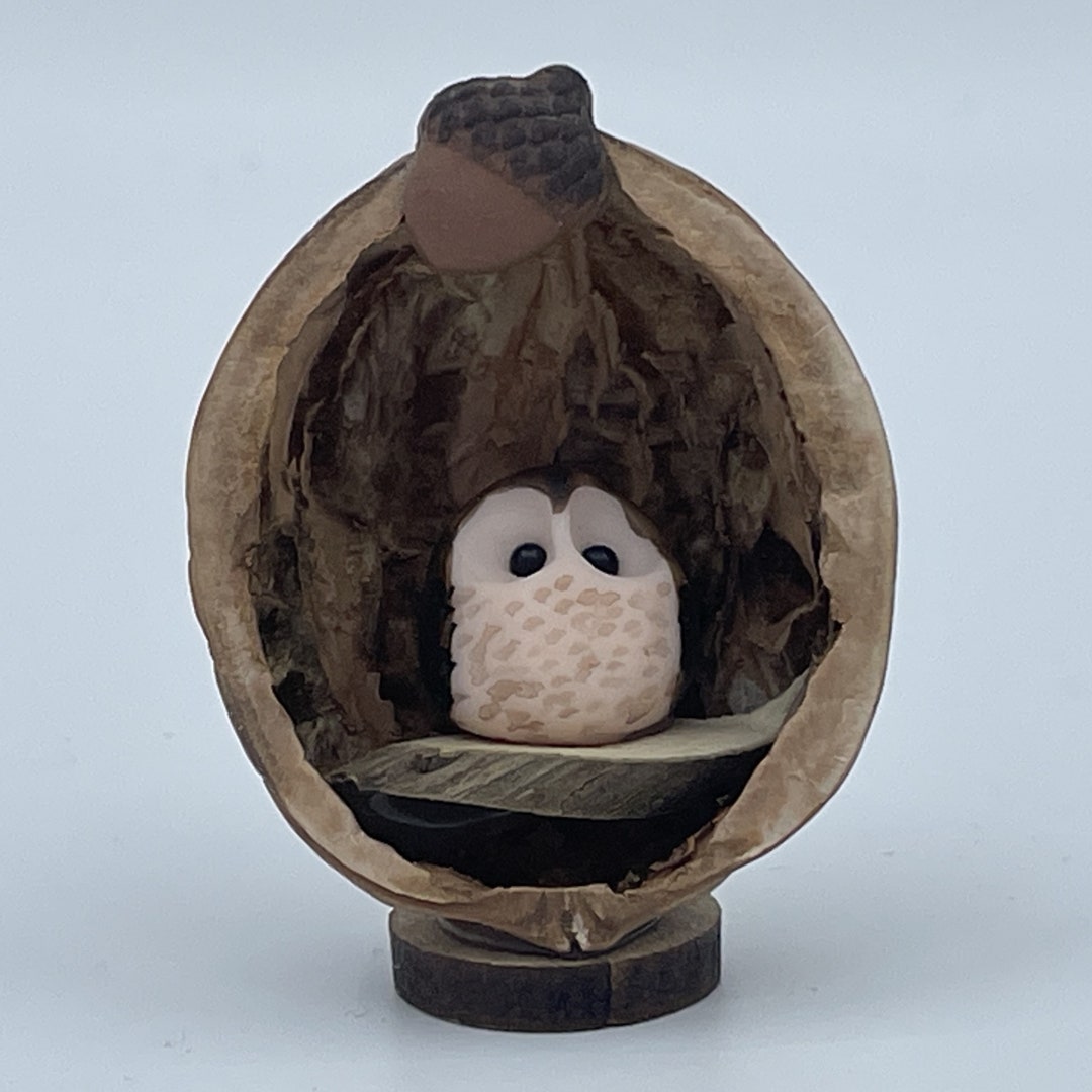 Owl in a Nutshell, Handmade Walnut Shell Decoration - Etsy