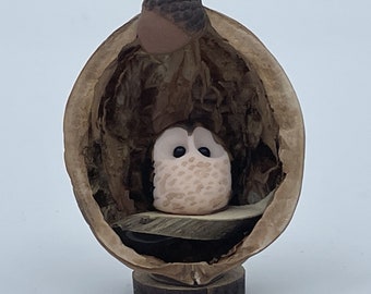 Owl in a Nutshell, handmade Walnut Shell decoration