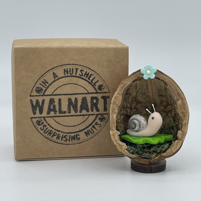 A miniature pale pink polymer clay snail body, with pearlescent real shell body and paper antennae and black eyes, sat on top of a bright green polymer clay leaf all inside a real half walnut shell. Shown with brown kraft gift box with Walnart logo.
