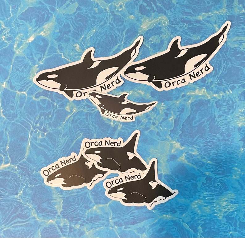 Orca Killer Whales Decals, Sticker, Art, 3 or 5 Waterproof, Dishwasher