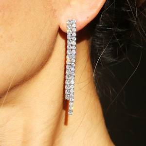 May include: A pair of long, silver dangle earrings with a row of clear rhinestones.