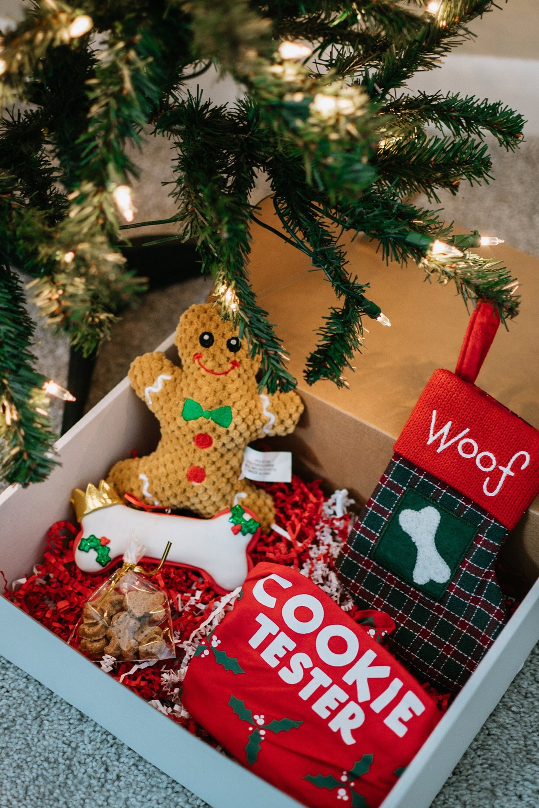 Christmas Themed Dog Gift Box, Gift Box for Dog Lovers, Personalized