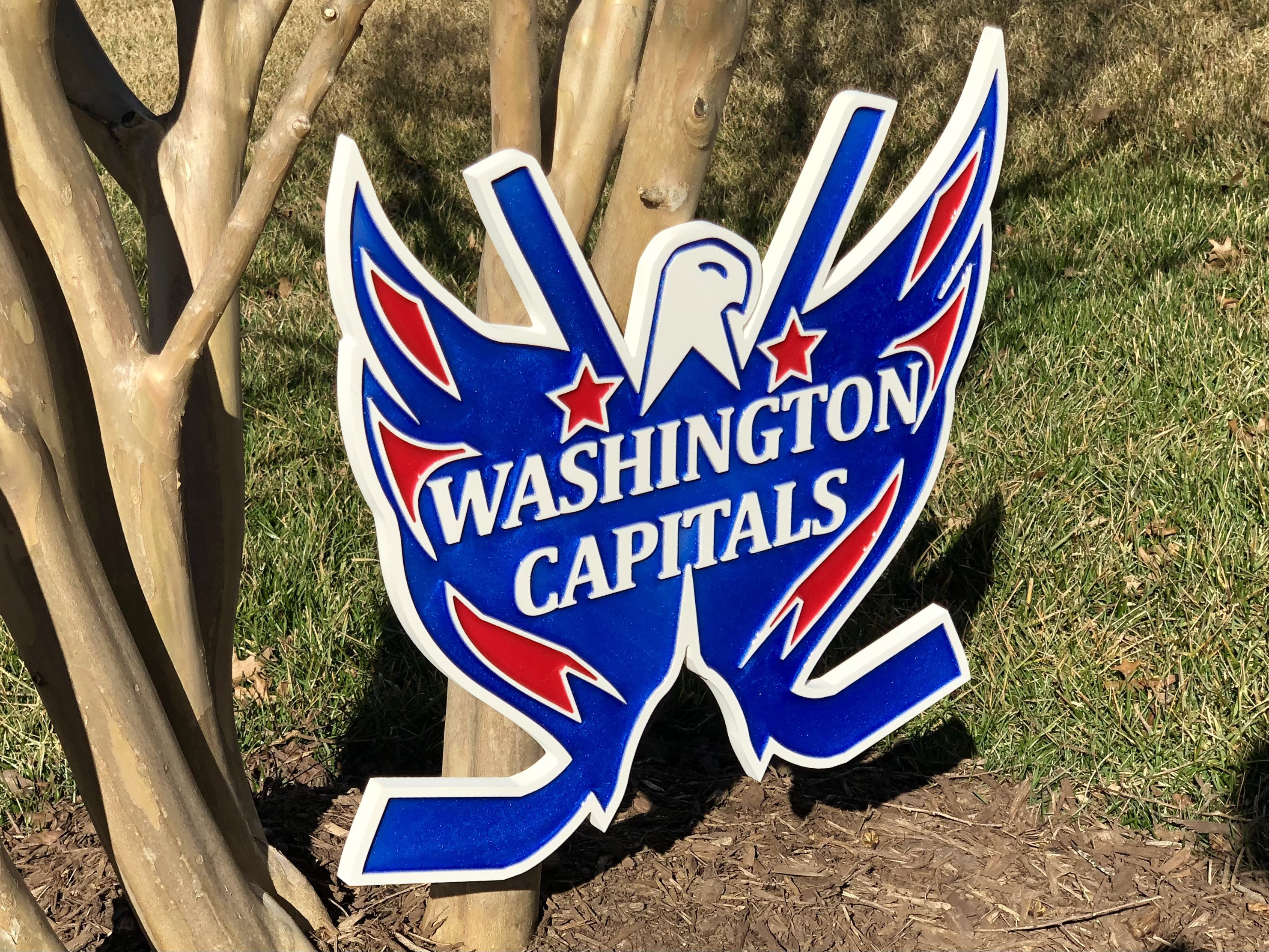 Washington Capitals Hockey Team Sports Wall Sign NHL GO 