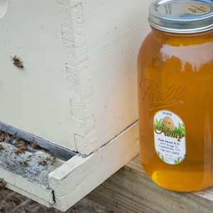 Raw Wildflower Honey: Half Gallon Glass Jar, New York Harvest