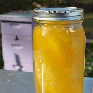 Raw Honey With Cut Comb: New York Wildflower & Sunflower Honey