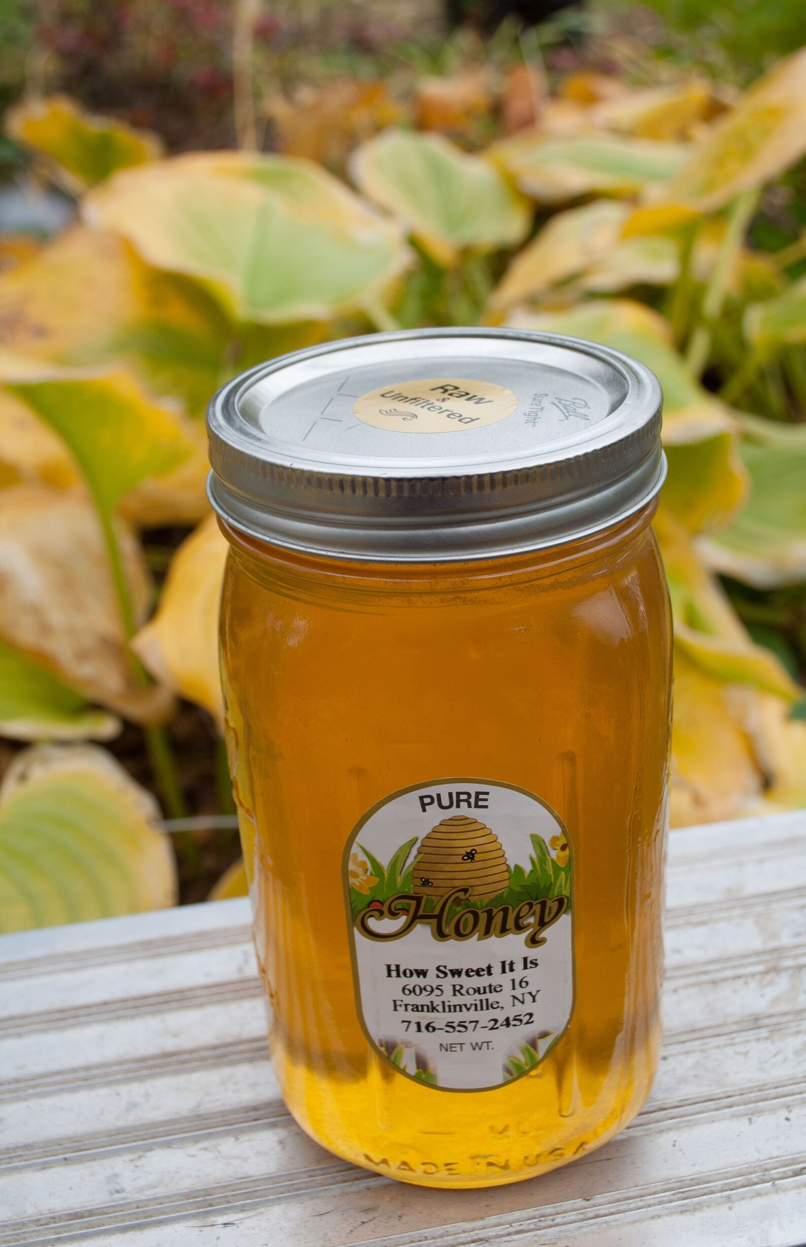 3 Lb Raw Honey in Quart Glass Jar Etsy