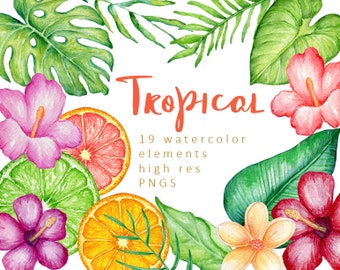 Watercolor Tropical Clipart Monstera Clipart Palm Clipart Tropical Leaves Clipart Pink Hibiscus Clipart Frangipani Clipart Fern Clipart