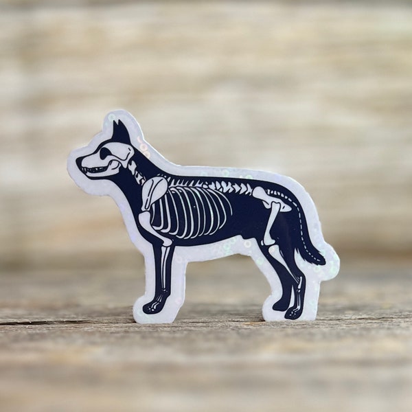 Vet Tech Sticker Holographic Dog Skeleton Waterproof