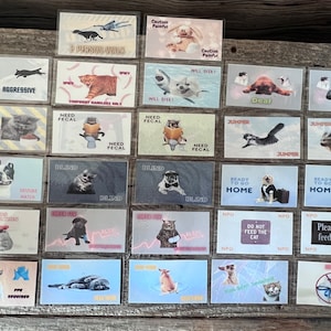 Fun Veterinary Cage Cards