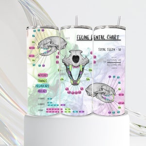 Vet Tech Cat/Feline Skull Dental Chart Tumbler
