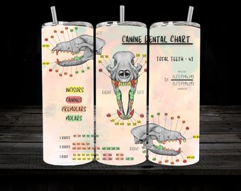 Vet Tech Dog/Canine Skull Dental Chart Tumbler