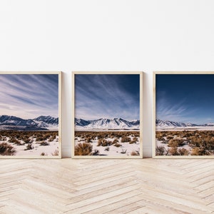 Eastern Sierra Nevadas and Frozen Crowley Lake Triptych