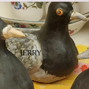 JERRY BOY