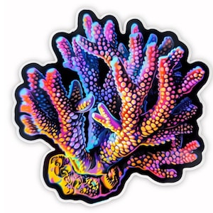 Acropora waterproof sticker