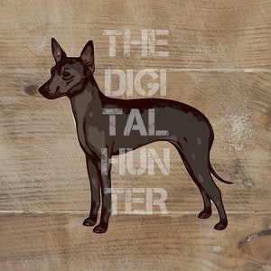 SIILON 犬 プリント Tシャツ チャコールグレー tシャツ 犬プリントロングTシャツ レディース : ZOZOTOWN Yahoo