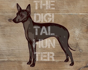 xoloitzcuintle, xolo dog, xolo art, PNG, JPG, mexican hairless dog, clipart, printable digital download