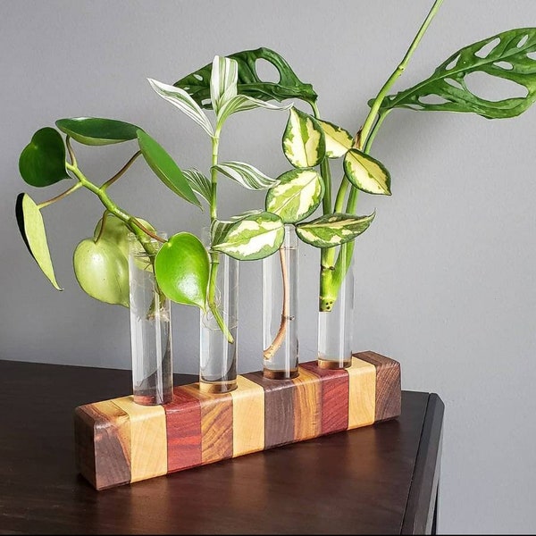 Propagation Station made from exotic woods walnut padauk maple teak test tubes included