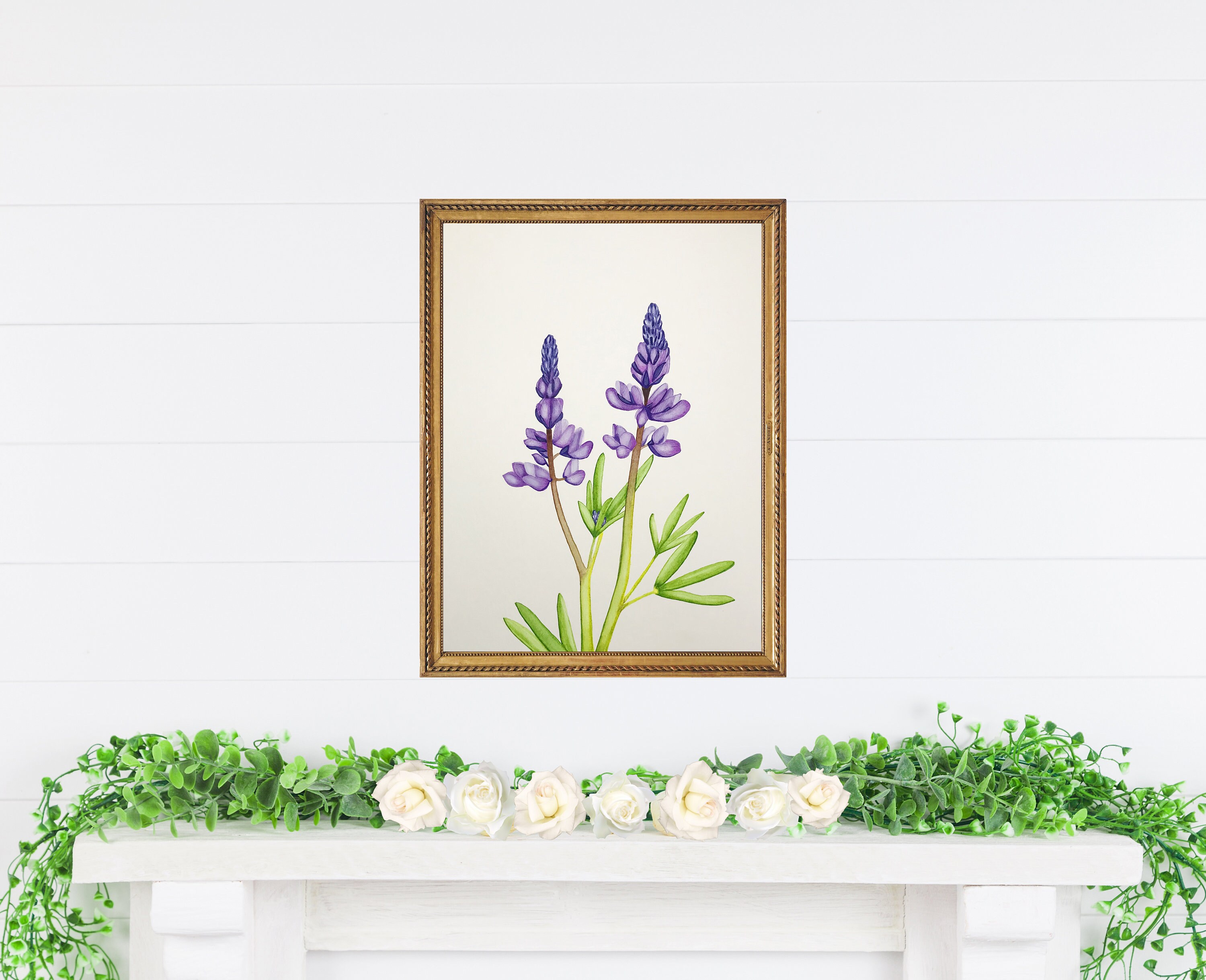 Le Lupin - Illustration Originale