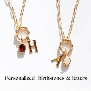Personalized Birthstone and Initial Letter Charms Paperclip Necklace |Personalized Gift Birthday Gift
