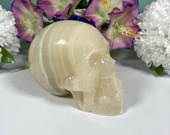 May include: A white onyx skull sculpture with detailed features. The skull is carved from a single piece of onyx and has a smooth, polished finish.